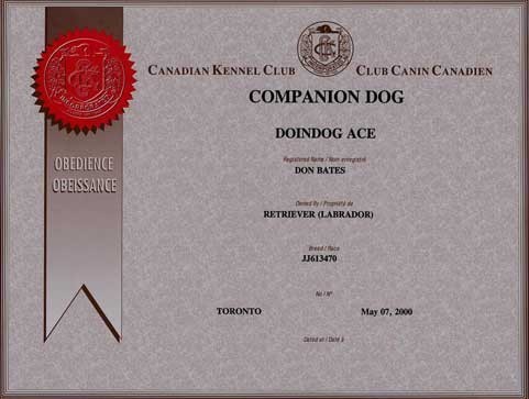 SR Doindog Ace CDX JH_187.jpg